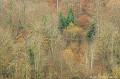 <br><br>Sapins, hêtres et autres feuillus près dOrcival au sud de la Chaine des Puys en hiver.
<br><br>Photo réalisée en France, dans le Puy-de-Dôme (Auvergne)<br><br> Paysage
Parce Naturel Régional
Volcans
Sapins
hêtres
feuillus
Orcival
Chaine des Puys
France
Auvergne 