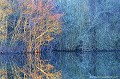 <br><br>Reflet d'un étang du bocage bourbonnais en hiver.
<br><br>Photo réalisée en France, dans l'Allier (Auvergne)<br><br> Reflet
étang
bocage bourbonnais
hiver
France
Auvergne
Allier 