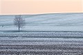 <br><br>Paysage de Limagne en hiver.
<br><br>Photo réalisée en France, dans l'Allier (Auvergne) Paysage
Limagne
hiver
France
Auvergne
Allier 