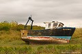 <br><br>Photo réalisée en France, dans la Baie de Somme (Picardie)
<br><br>  