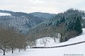 <br><br>Photo réalisée en France, dans l'Allier (Auvergne)<br><br> France
Allier
Auvergne 