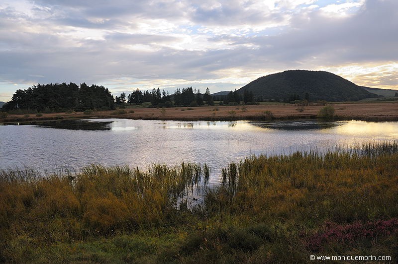 Lac de tourbière de la Bourdouze